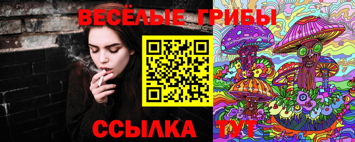 Галлюциногенные грибы GOLDEN TEACHER Кулебаки